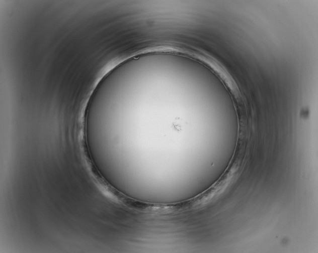 X0000103160858200808221150