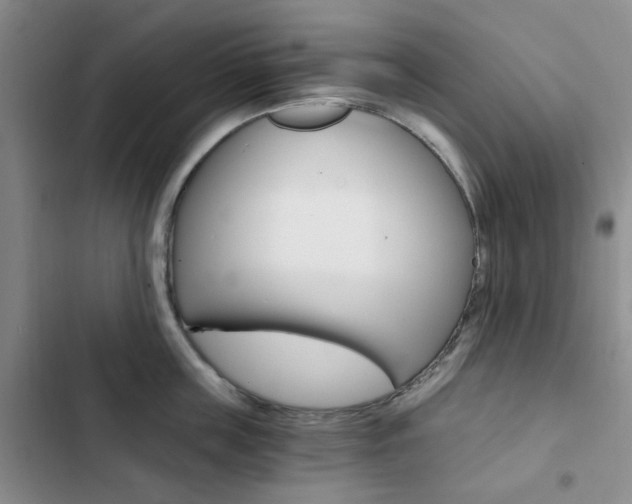 X0000103160859200808221150