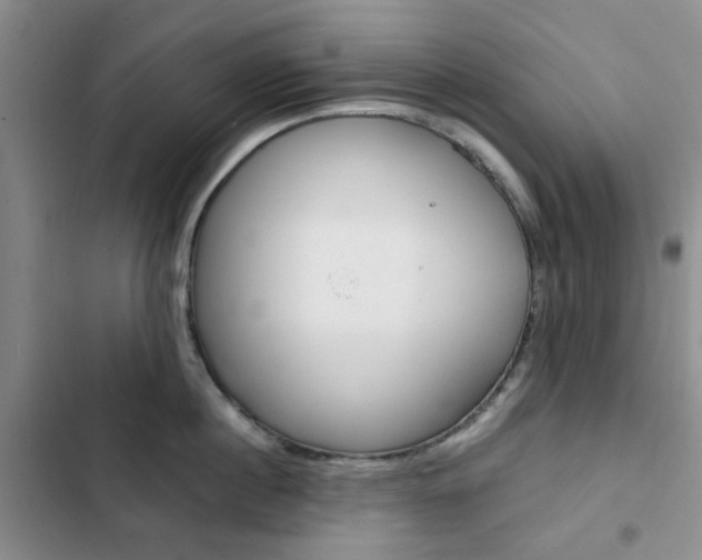 X0000103160860200808221150