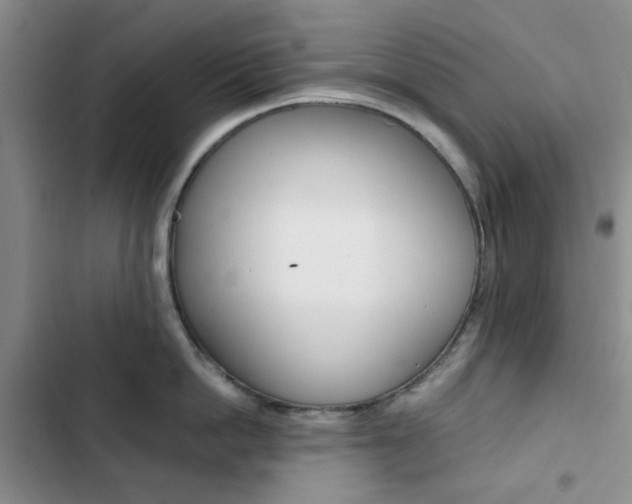 X0000103160862200808221150