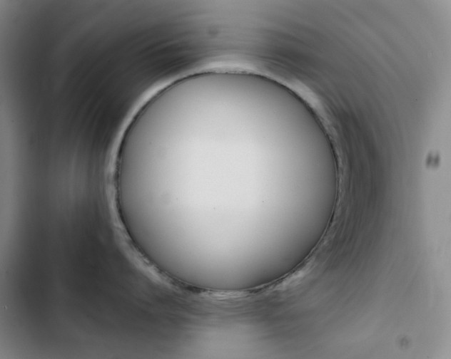 X0000103160864200808221150