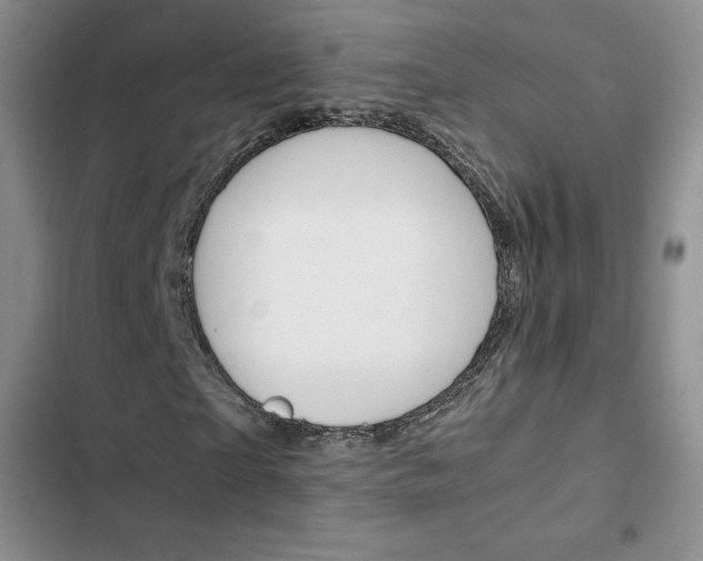 X0000103160865200808221149
