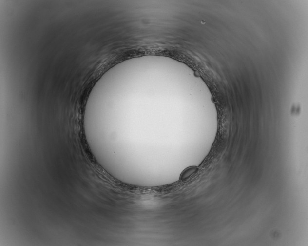 X0000103160866200808221149