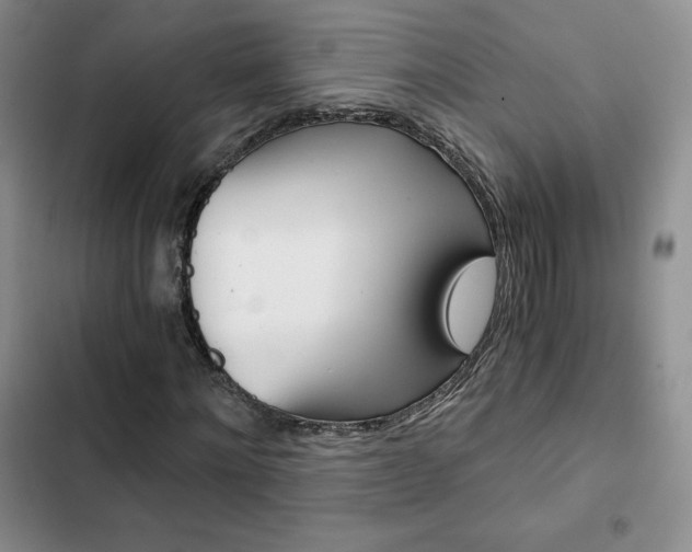 X0000103160868200808221149