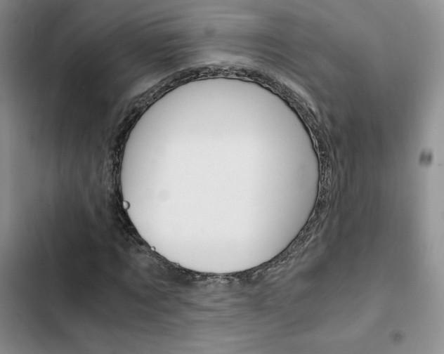 X0000103160869200808221149
