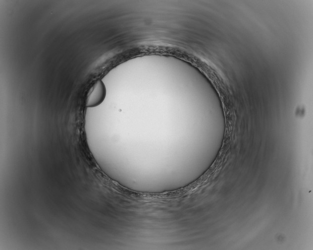 X0000103160870200808221149