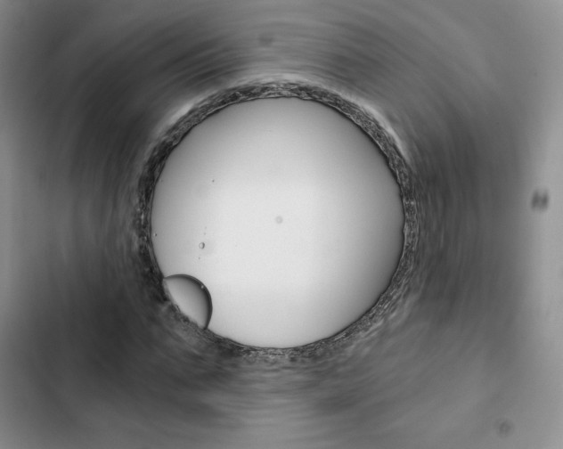 X0000103160871200808221149