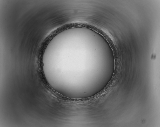 X0000103160872200808221149
