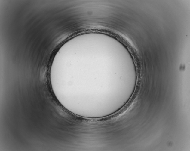 X0000103160873200808221149