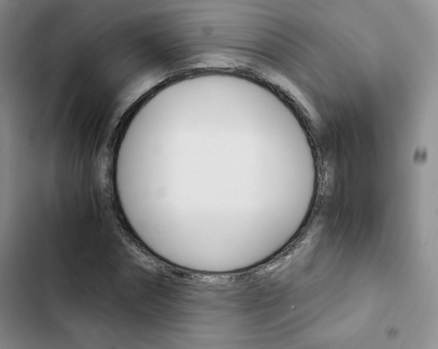 X0000103160874200808221149