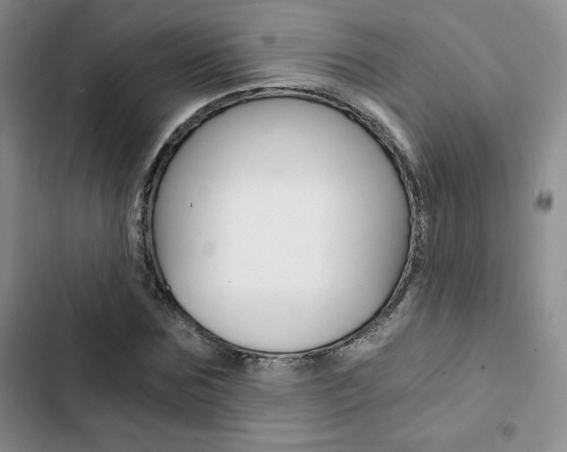 X0000103160875200808221149