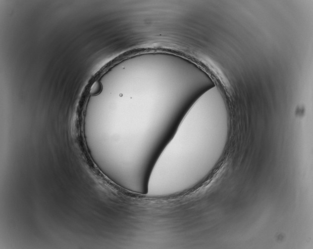 X0000103160876200808221149