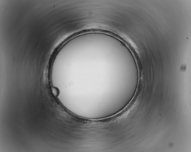X0000103160877200808221149