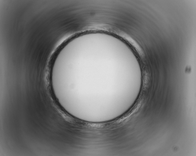 X0000103160878200808221149
