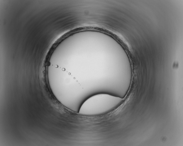 X0000103160879200808221149