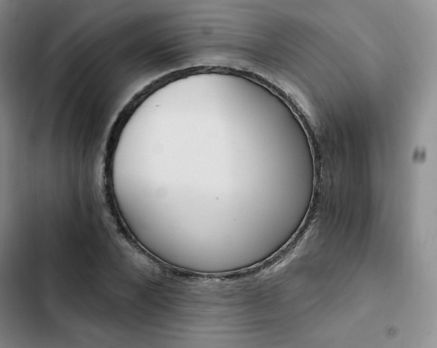 X0000103160880200808221149