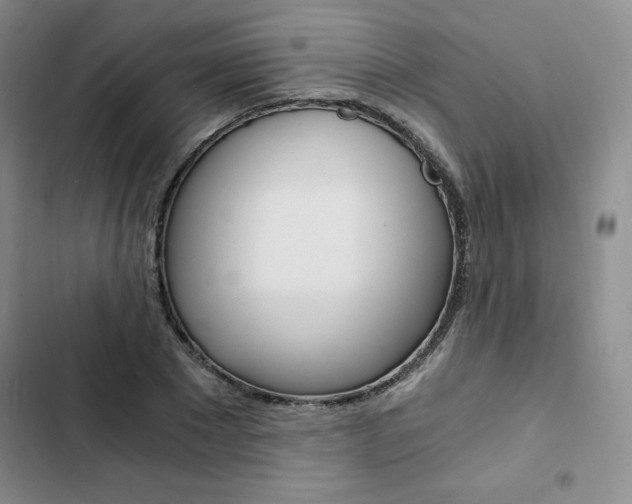 X0000103160881200808221149