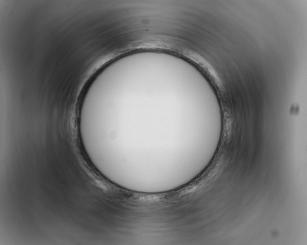 X0000103160882200808221149