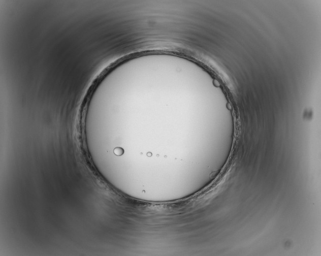 X0000103160883200808221149