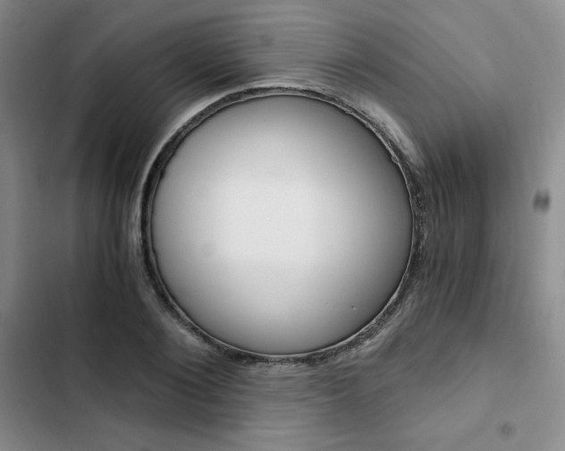 X0000103160884200808221149