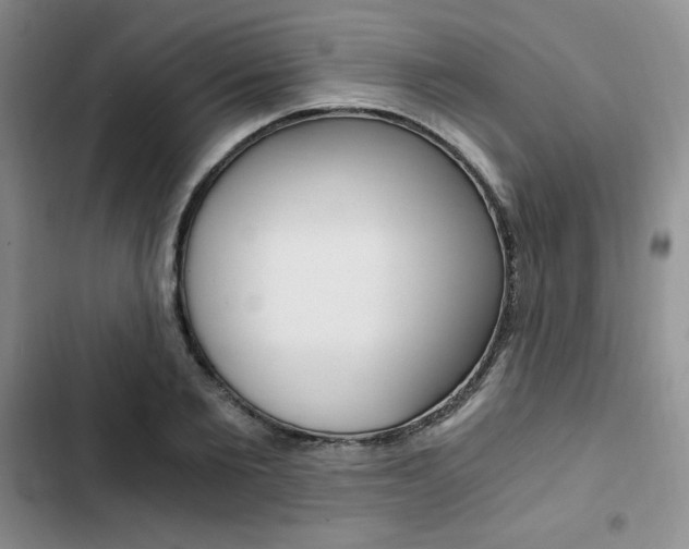 X0000103160885200808221149