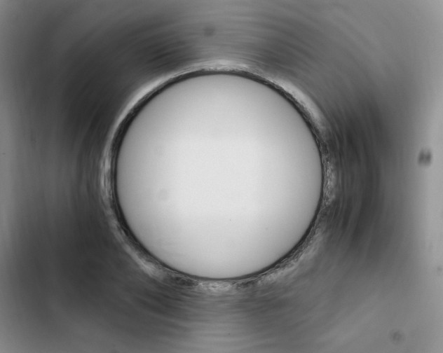 X0000103160886200808221149
