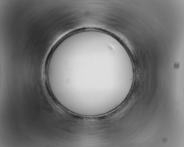X0000103160887200808221149