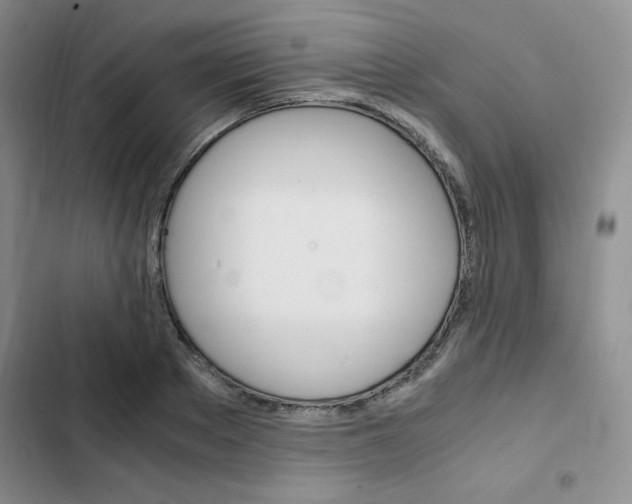 X0000103160889200808221149