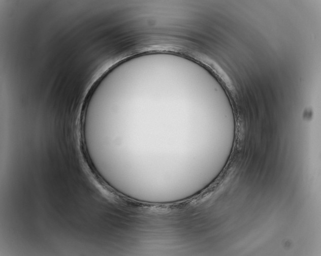 X0000103160890200808221149