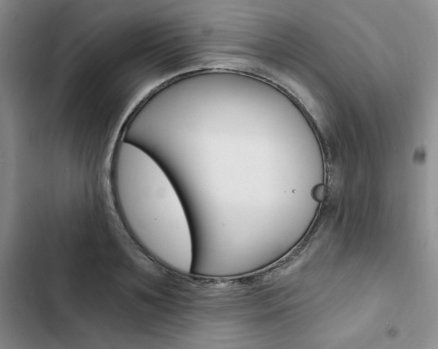 X0000103160891200808221149
