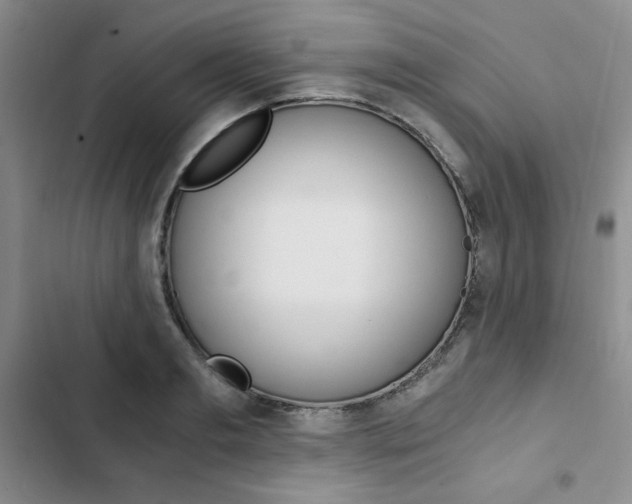 X0000103160893200808221149