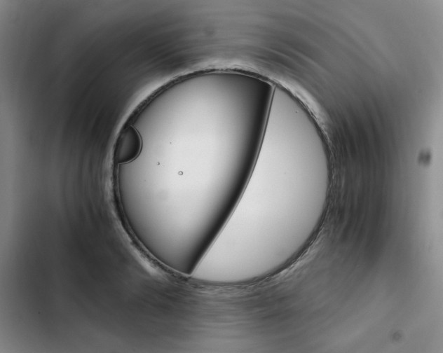 X0000103160894200808221149