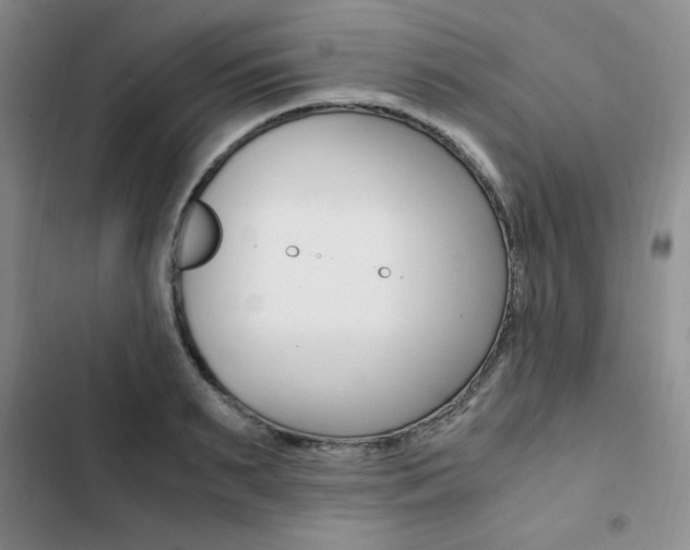 X0000103160895200808221149