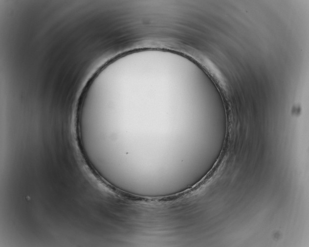 X0000103160896200808221149