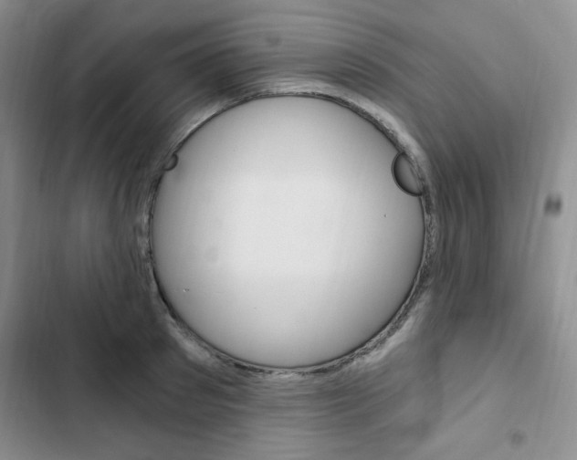 X0000103160897200808221149