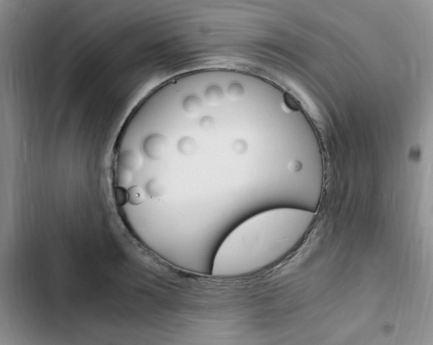 X0000103160899200808221149