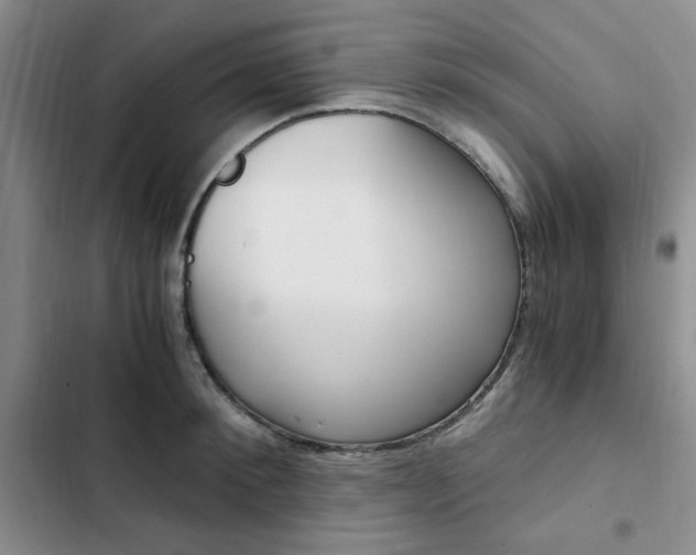 X0000103160900200808221149