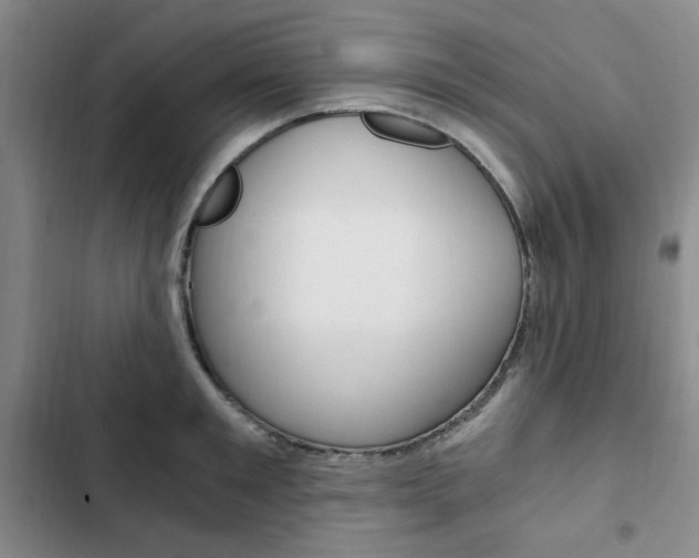 X0000103160901200808221149