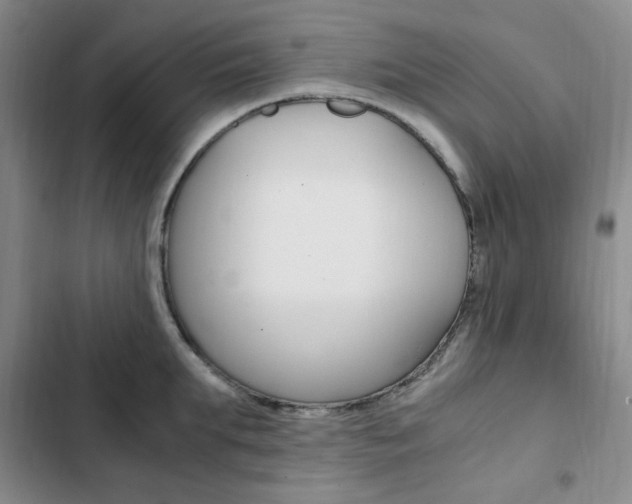 X0000103160903200808221149