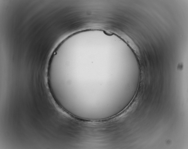 X0000103160904200808221149
