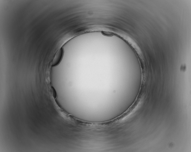 X0000103160905200808221149