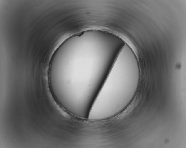 X0000103160906200808221149