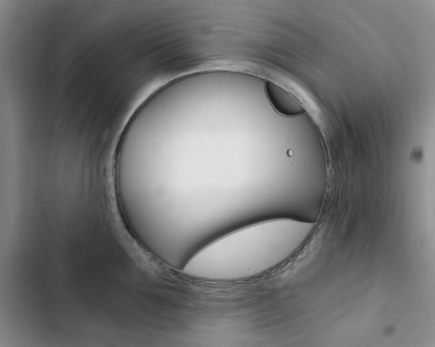 X0000103160907200808221149