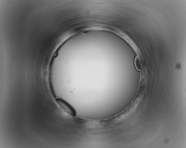 X0000103160909200808221149
