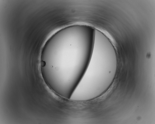 X0000103160910200808221149