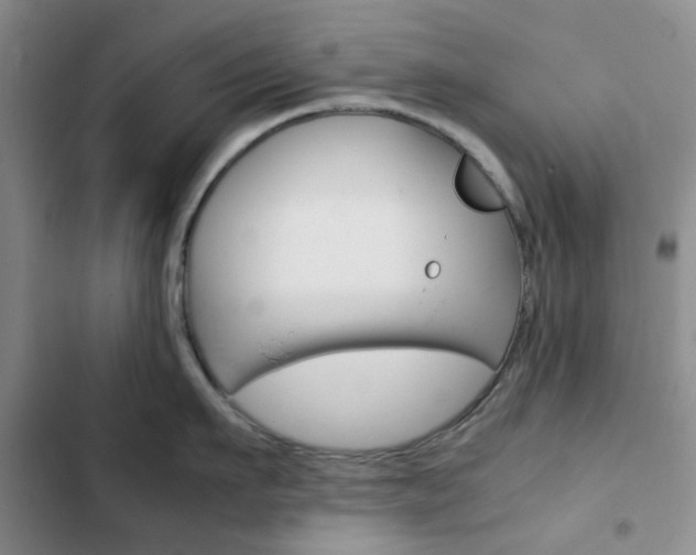 X0000103160911200808221149