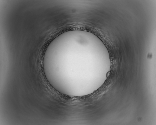 X0000103160913200808221148