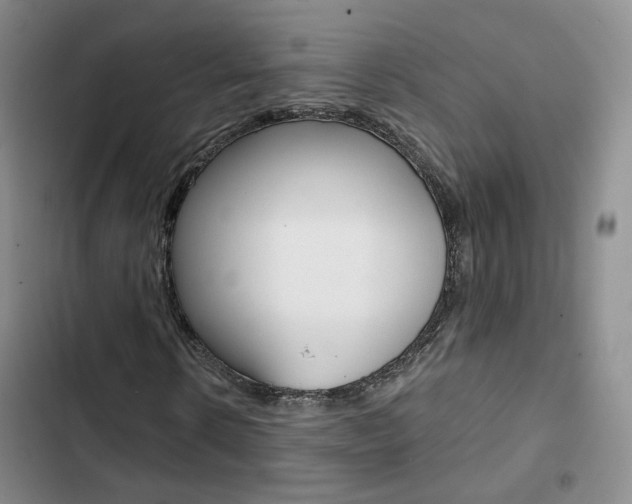X0000103160914200808221148