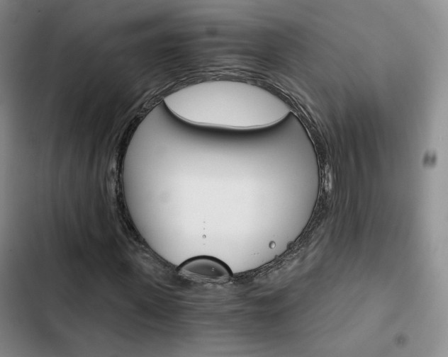 X0000103160915200808221148