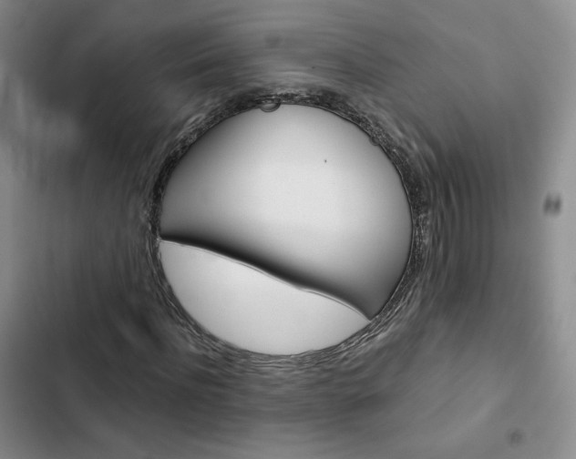 X0000103160916200808221148